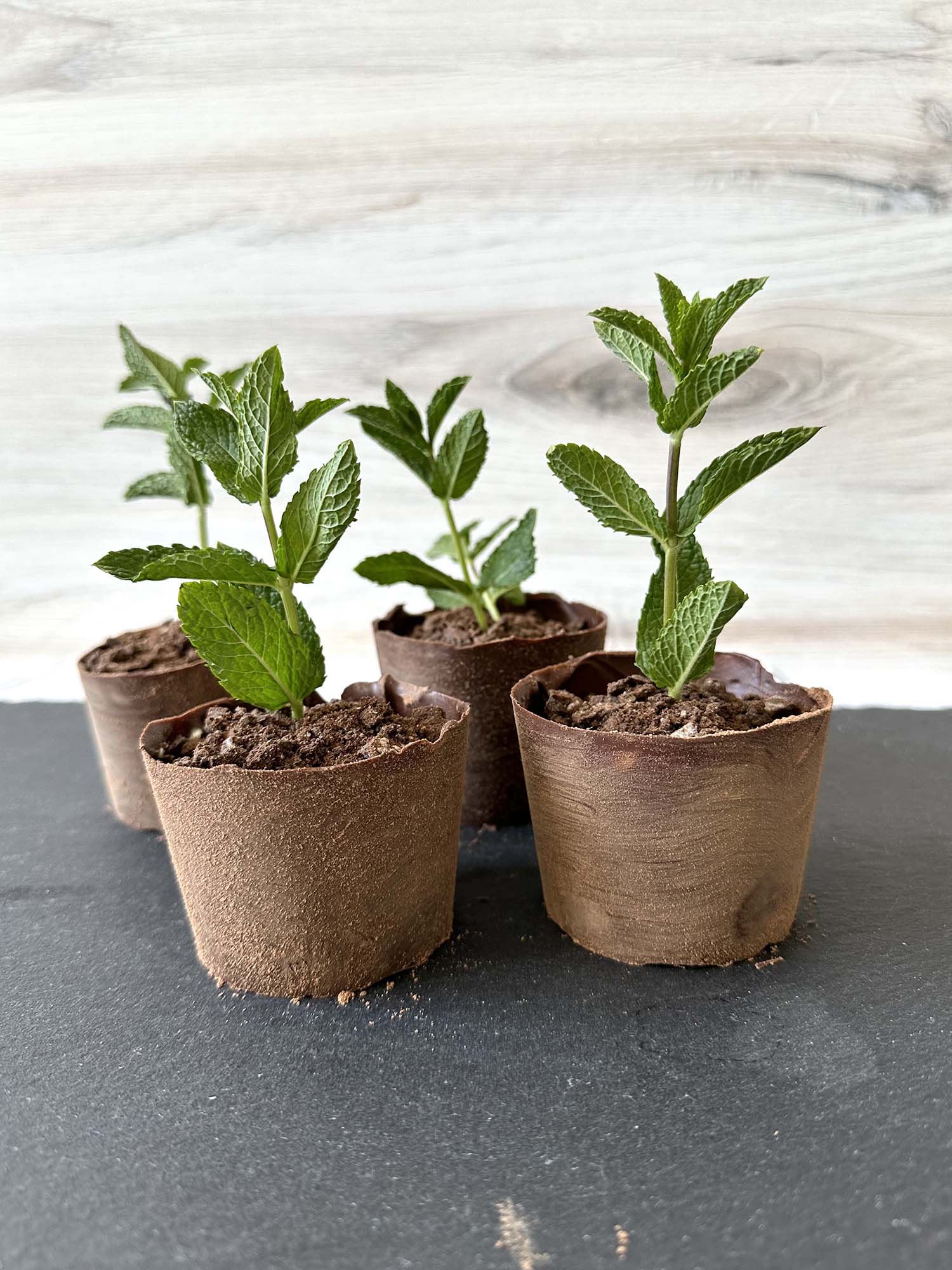 Edible Plant Pots with Cottage Pudding