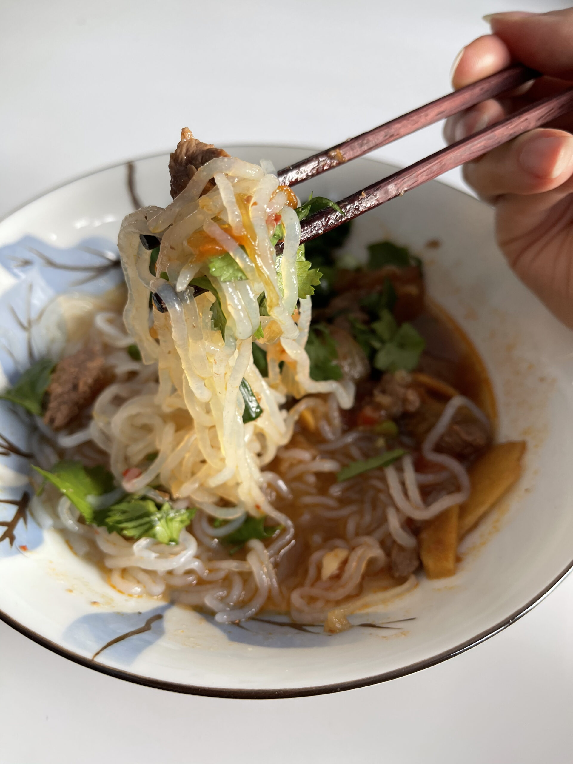 Spicy Taiwanese Style Beef and Noodle Stew